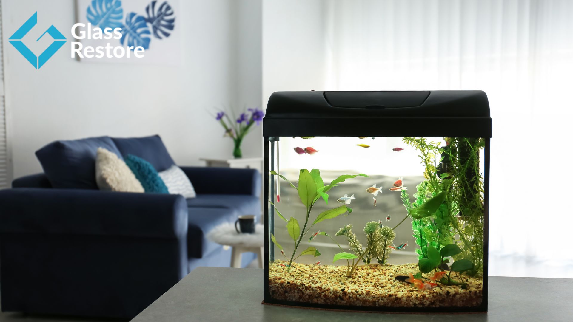Fish tank glass repair service in Los Angeles