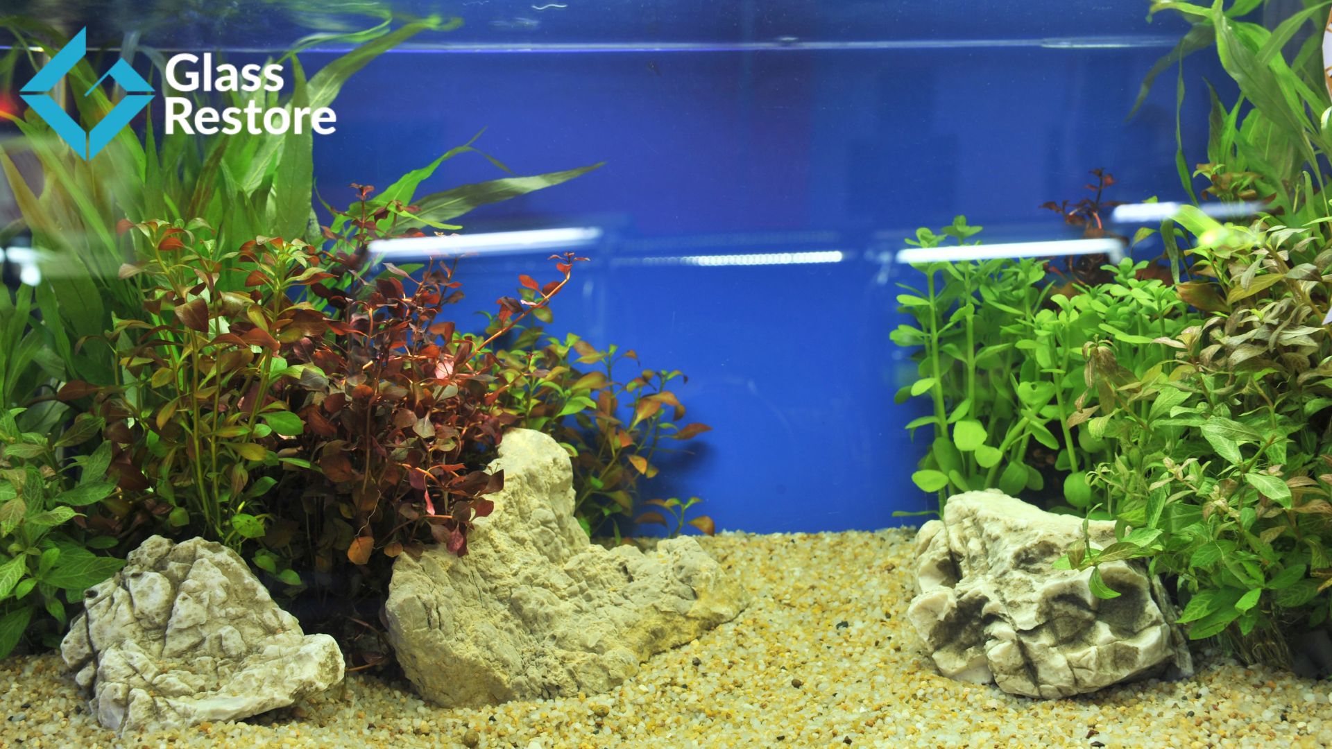 professional aquarium scratch removal