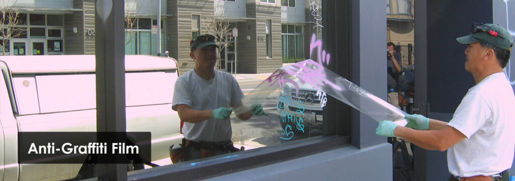 Window Tinting & Privacy Film