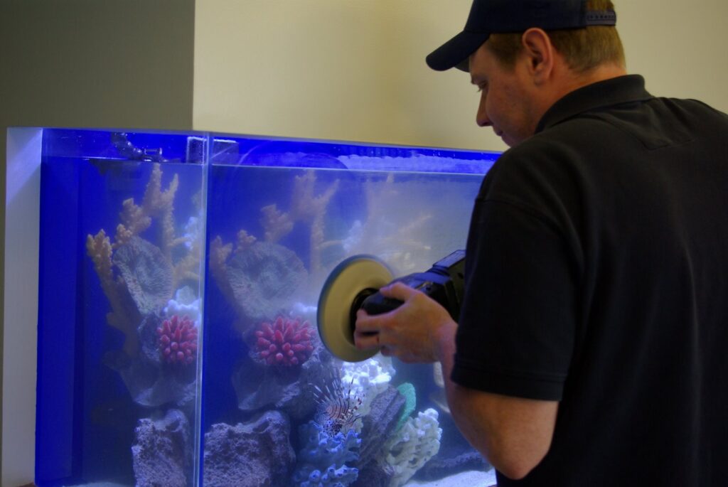 Aquarium Scratch Removal
