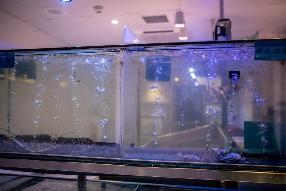 Aquarium scratch removal