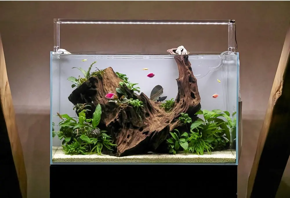 acrylic tank scratch remover