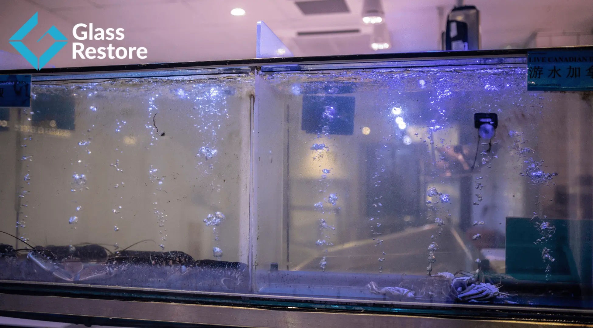 aquarium glass scratch repair